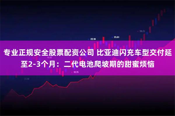 专业正规安全股票配资公司 比亚迪闪充车型交付延至2-3个月：二代电池爬坡期的甜蜜烦恼